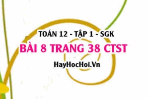 Bài 8 trang 38 Toán 12 tập 1 Chân trời sáng tạo